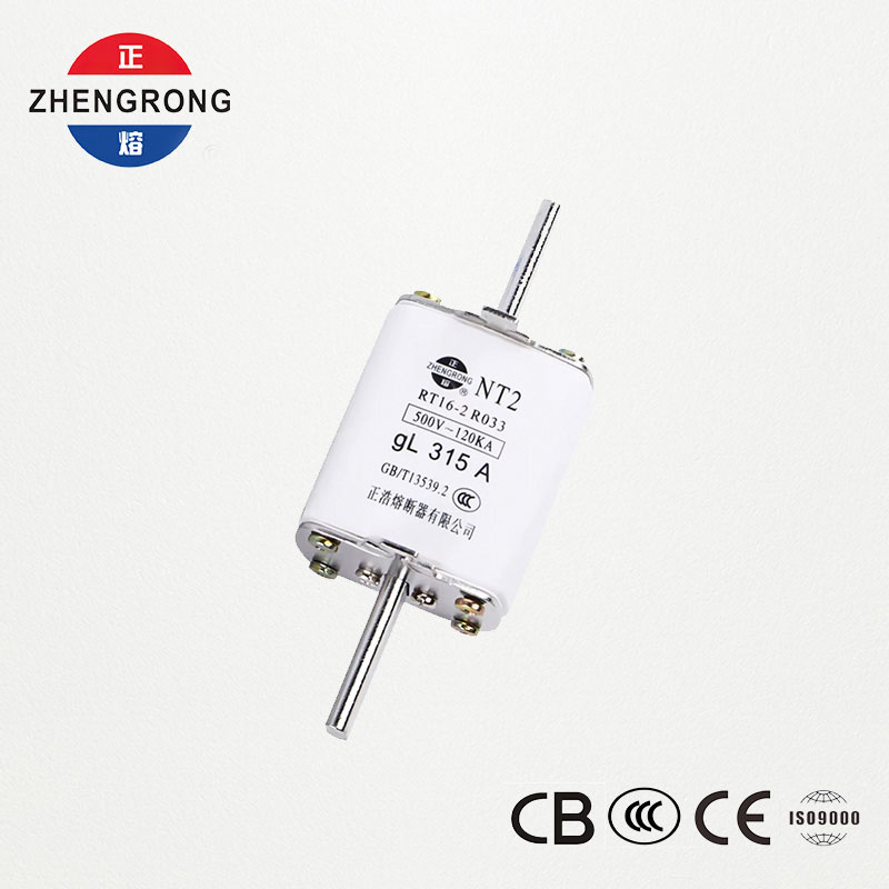 Legătură de siguranță NT2 315A | Siguranță ceramică RT16-2 500V gL